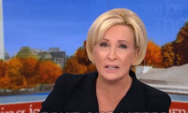 “Trump’s making us afraid to have babies:” Mika Brzezinski has all-time bizarre anti-Trump rant