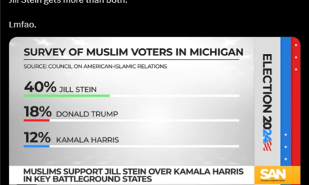 Third-Party Defections to Jill Stein Lead to Trump Polling Higher Than Harris Among Muslim Voters in Michigan