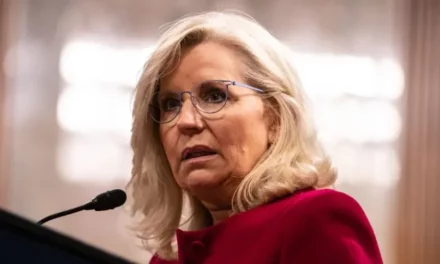 Trump drags Liz Cheney as she stumps for Kamala Harris: ‘Stupid warhawk’