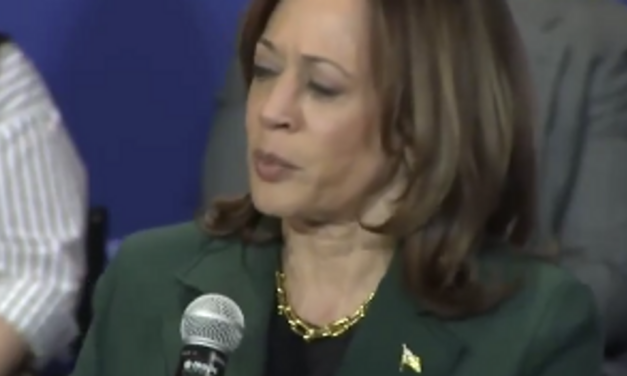 Watch: Kamala Harris “accidentally” attacks Trump VOTERS before trying to correct herself