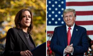 With 2 Weeks Left, Trump Edges Up in Polls, Harris Stalls