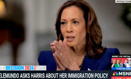 Kamala Harris mucho panders to Telemundo, BRAGS about supporting mass amnesty