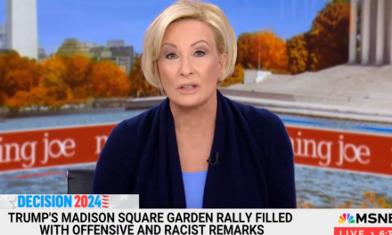 Hateful MSNBC host claims YOU’RE hateful for supporting Donald Trump, attending his MSG rally