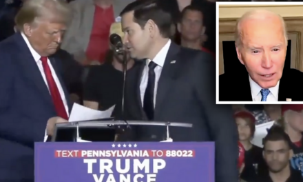 Marco Rubio interrupts Trump speech with breaking news of insult Biden just called half of America