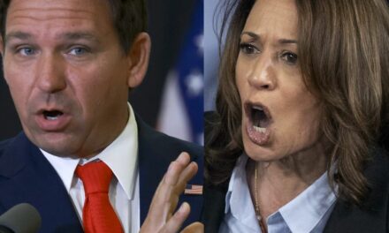 DeSantis Again Slams Harris for Trying to Politicize Hurricane Disaster Response