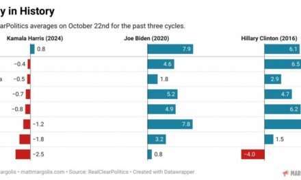 2024 Election Exclusive: Why you Shouldn’t be Fooled by the Early Voting Data (Sources)