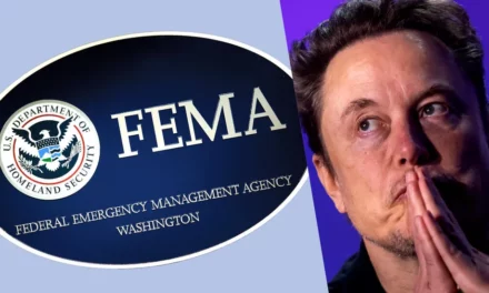 Elon Musk ENRAGED at FEMA thwarting private efforts to help Helene victims: ‘My blood is boiling’