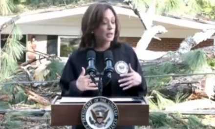 Do the Math: Kamala Harris brags about giving hurricane victims $750 after Ukraine got $2900 per person