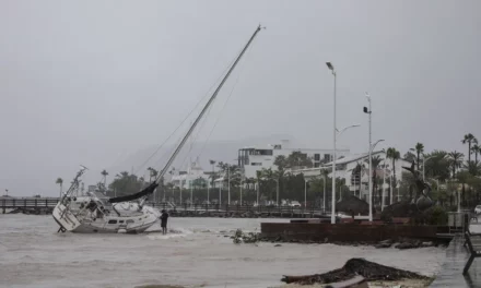 One-legged man who went viral for facing hurricane in his sailboat has lengthy criminal history