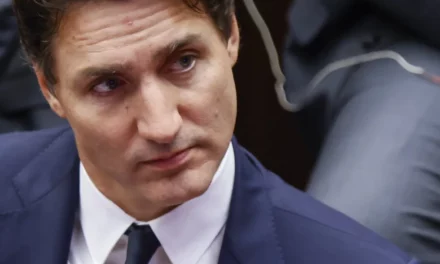 The real reason Justin Trudeau is freezing immigration