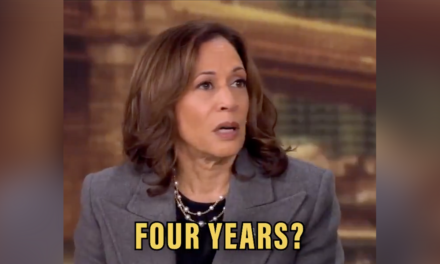 Watch: Kamala Harris delivers critical blow to her campaign with new Joe Biden comments