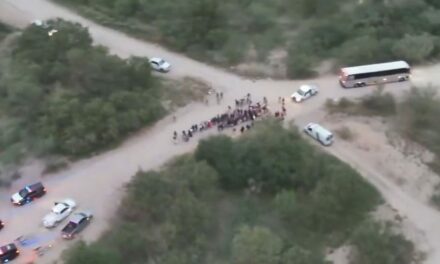 Texas troopers find 134 illegal immigrants near border, some from Iran, authorities say