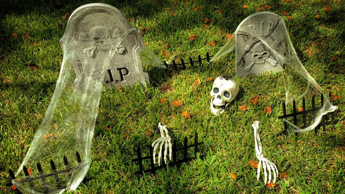 This Halloween, turn your yard into a spooky, fun and thrilling experience.