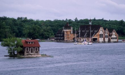 World’s smallest inhabited island features a single home and tree