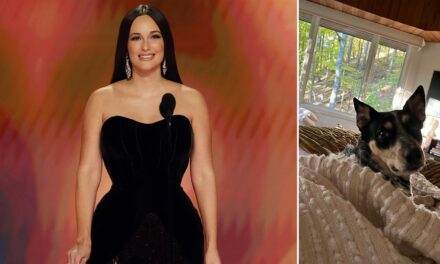 Country star Kacey Musgraves’ ‘brave’ dog saved her from stepping on a rattlesnake