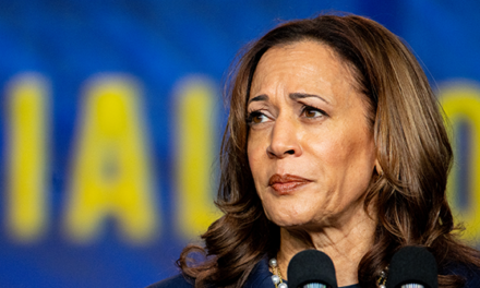 Breitbart Business Digest: Kamala Harris Gets the Wrong Kind of Improving Consumer Sentiment