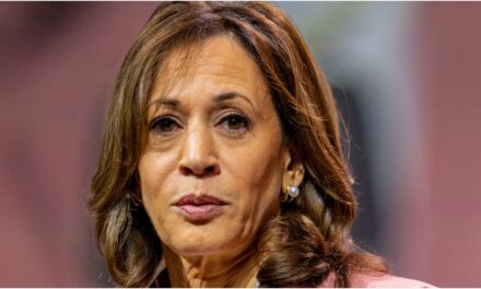 Kamala Harris Ruthlessly Roasted After Claiming She Owns A Handgun