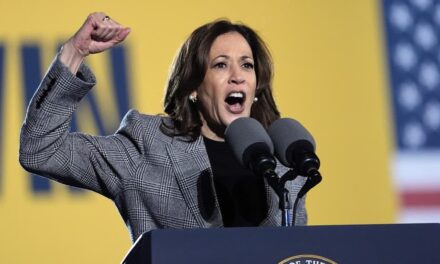 Harris-Trump showdown: Vice president picks up the pace on trail, makes pitch to progressives