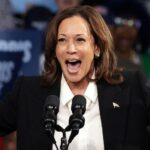 VP Harris’ ‘Agenda for Black men’ not as exclusive as advertised