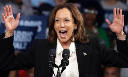 VP Harris’ ‘Agenda for Black men’ not as exclusive as advertised