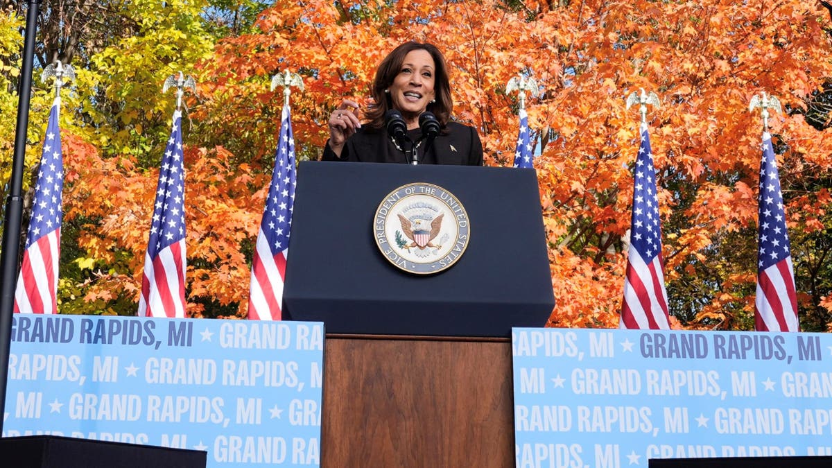 Democratic presidential nominee Vice President Kamala Harris speaks during a campaign event at Riverside Park in Grand Rapids, Mich., Friday, Oct. 18, 2024. (AP Photo/Jacquelyn Martin)