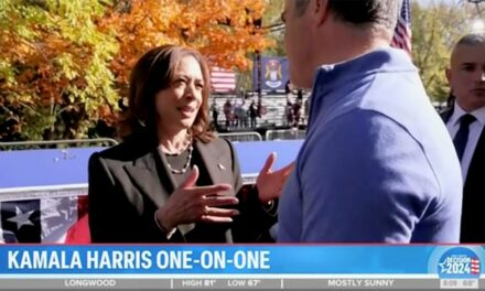 Kamala Harris downplays diminishing support from male voters: ‘It’s not the experience I’m having’