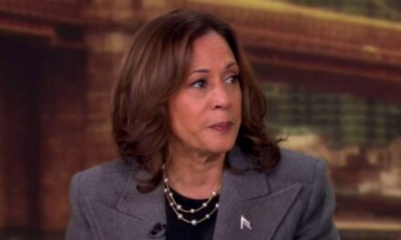 Border sheriff angered over Kamala Harris’ remark to ‘The View’: ‘Upsetting and insulting’