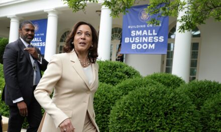 ‘Smacks of blatant vote buying’: Legal experts call Harris proposals for Black men ‘unconstitutional’