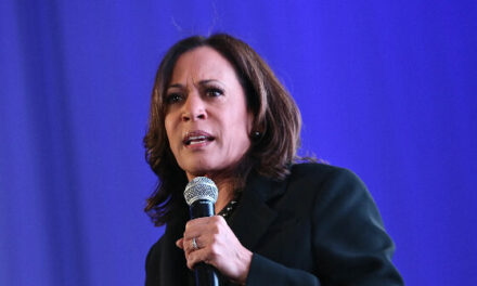 Kamala Harris Attempts to Court Black Male Voters at BET Hip Hop Awards, Freaks on ‘Weak’ Trump