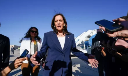 Kamala’s immigration ‘root cause’? Follow the woke money