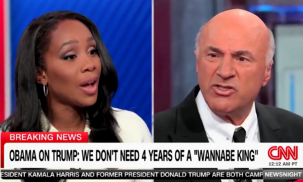 Kevin O’Leary clashes with CNN panel, says Democrats ‘circumvented democracy’ by selecting Harris