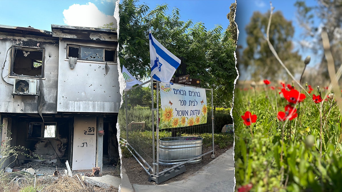 A split image shows a destroyed kibbutz on the left, a school with Israeli flag in the middle, and flowers growing at a kibbutz on the right.