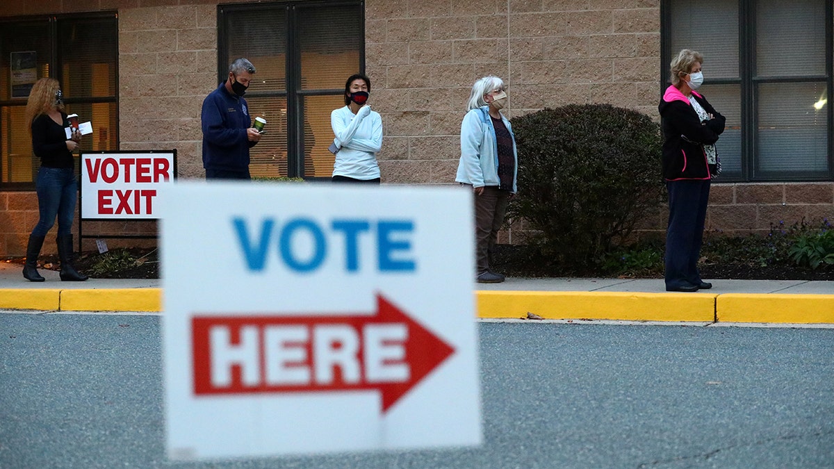 Voters line up to cast an early ballot in 2020 election