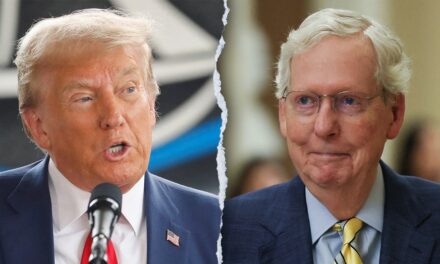 ‘Despicable human being’: McConnell’s 2020 thoughts on ‘sleazeball’ Trump revealed in new book