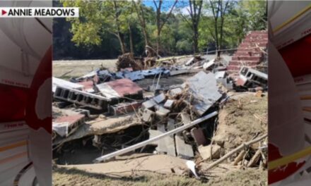 Navy veteran clung to tree for seven hours before being swept away by Helene flooding, says devastated niece