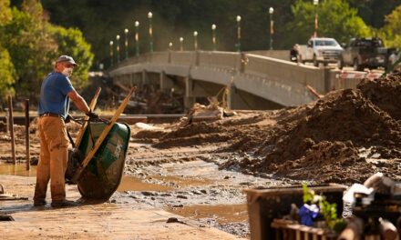 Hurricane Helene flooding in NC stirs yellow jacket swarms, prompting distribution of Benadryl and EpiPens