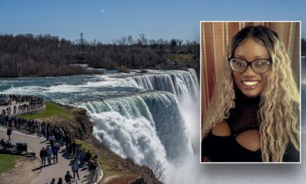 Woman jumps into Niagara Falls with 2 young sons in ‘intentional act’: police