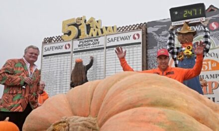 VIDEO: Minnesota Teacher’s 2,471-Pound Pumpkin Wins Top Prize at Competition