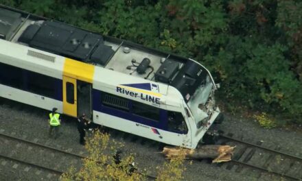 NJ Transit train operator killed, nearly two dozen injured after light rail train strikes fallen tree