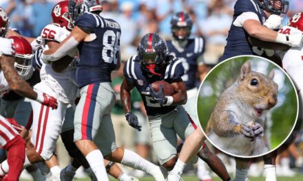 Ole Miss Crowd Goes Nuts For Squirrel That Ran Onto The Field