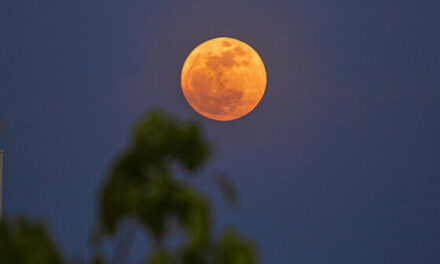 Largest ‘Supermoon’ of the Year Coming this Week with Potentially Orange Hue