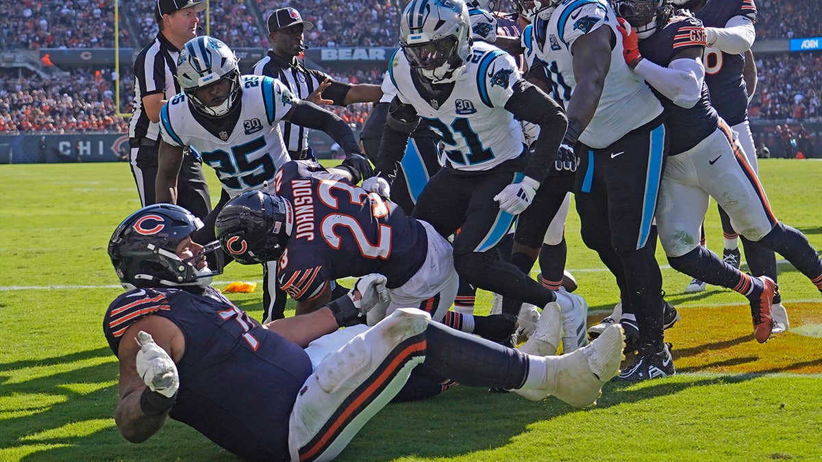 Panthers-Bears fight