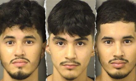 Illegal immigrants arrested in wealthy Florida county for sexual crimes against a child