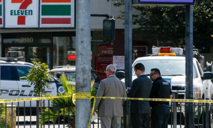 Parents turn in their kids after LAPD shares nearly 200 surveillance images of 7-Eleven mob robberies by ‘youthful males’