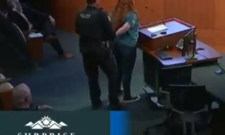 Judge blasts ‘outrageous’ arrest of Arizona mom who criticized bureaucrat, bans future arrest