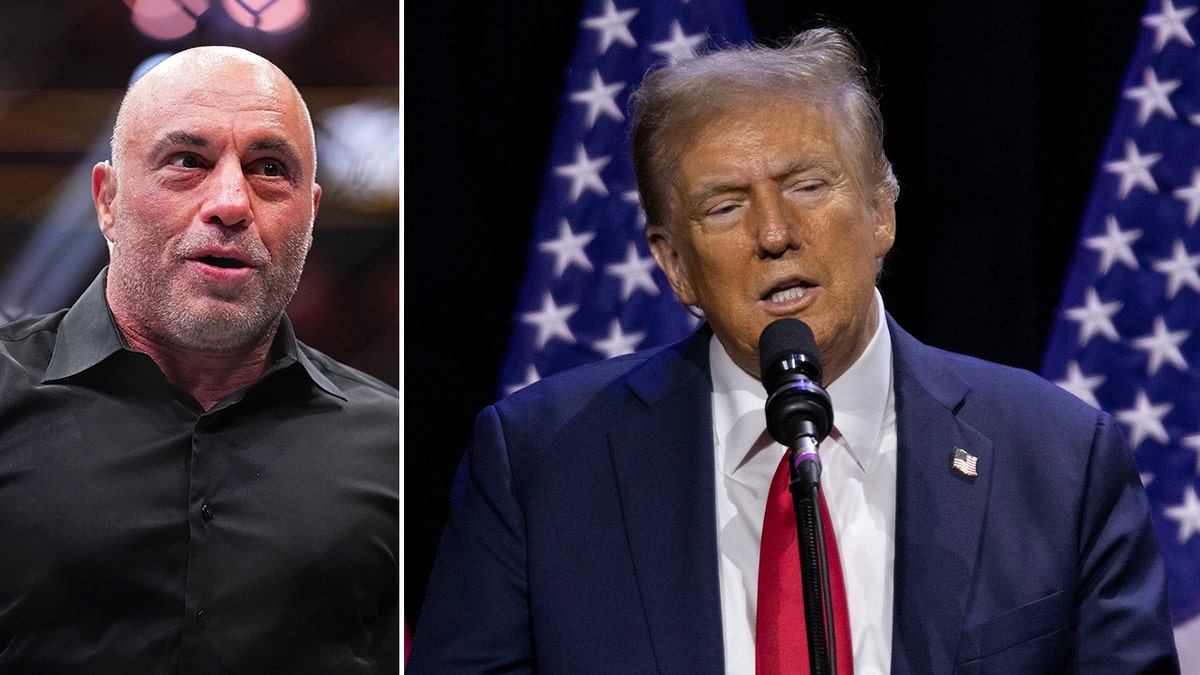 Joe Rogan and Donald Trump