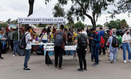 Migrants caught at border bused, flown out of San Diego in possible ‘cover up’ before election: official