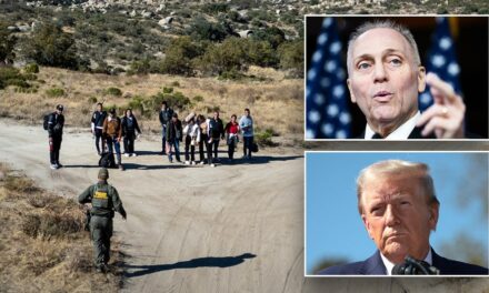 Scalise details Trump’s vision on securing border in first 100 days