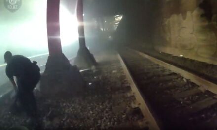 Heart-stopping video shows Seattle police rescue man from tracks moments before train roars past