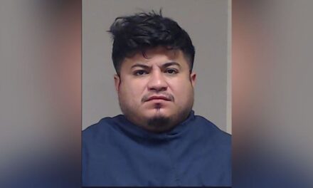 Honduran illegal immigrant deported from US twice, sentenced for leading Texas burglary ring: ‘Masterminded’